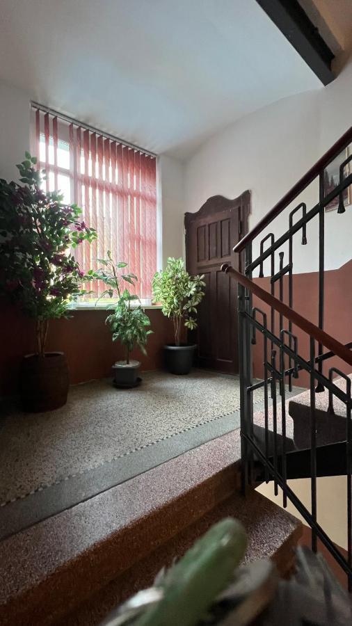 Pension Chevermeto Chemnitz Exteriör bild